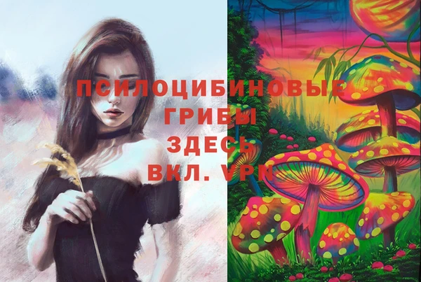 COCAINE Лабытнанги